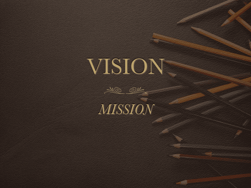 VISION-800X600